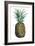 Watercolor Pineapple I-Grace Popp-Framed Art Print