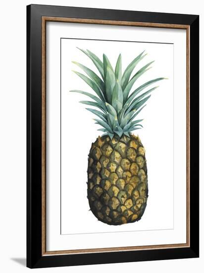 Watercolor Pineapple I-Grace Popp-Framed Art Print