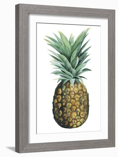 Watercolor Pineapple II-Grace Popp-Framed Art Print