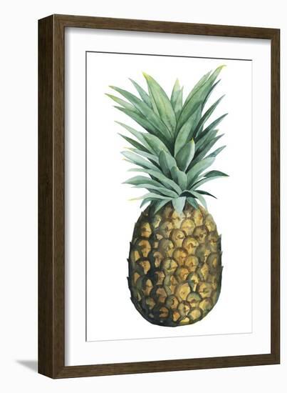 Watercolor Pineapple II-Grace Popp-Framed Art Print