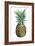 Watercolor Pineapple II-Grace Popp-Framed Art Print