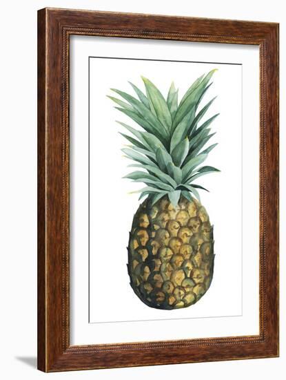 Watercolor Pineapple II-Grace Popp-Framed Art Print