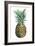 Watercolor Pineapple II-Grace Popp-Framed Art Print