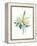 Watercolor Plant II-null-Framed Stretched Canvas