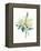 Watercolor Plant II-null-Framed Stretched Canvas