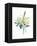 Watercolor Plant II-null-Framed Stretched Canvas