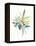 Watercolor Plant II-null-Framed Stretched Canvas