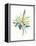 Watercolor Plant II-null-Framed Stretched Canvas