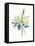 Watercolor Plant II-null-Framed Stretched Canvas