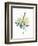 Watercolor Plant II-null-Framed Premium Giclee Print