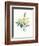 Watercolor Plant II-null-Framed Premium Giclee Print