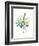 Watercolor Plant II-null-Framed Premium Giclee Print