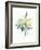 Watercolor Plant II-null-Framed Art Print