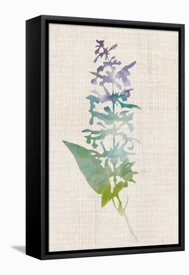 Watercolor Plants I-Naomi McCavitt-Framed Stretched Canvas