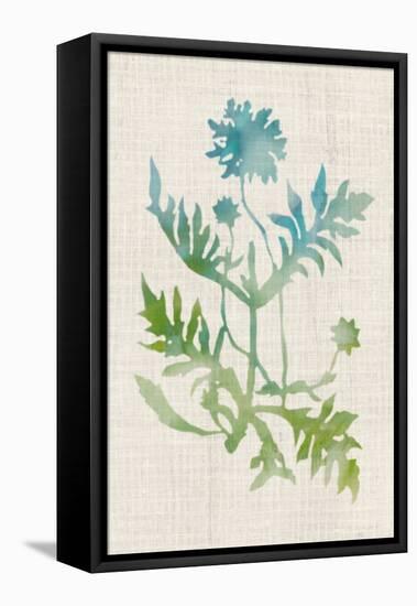 Watercolor Plants III-Naomi McCavitt-Framed Stretched Canvas