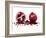 Watercolor Pomegranate-Michael Willett-Framed Art Print