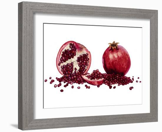 Watercolor Pomegranate-Michael Willett-Framed Art Print