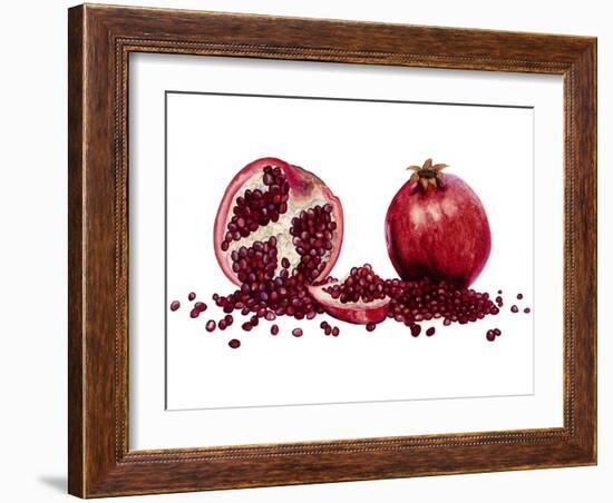 Watercolor Pomegranate-Michael Willett-Framed Art Print