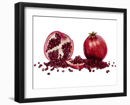 Watercolor Pomegranate-Michael Willett-Framed Art Print