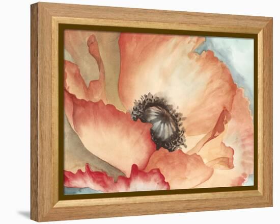 Watercolor Poppy II-Megan Meagher-Framed Stretched Canvas