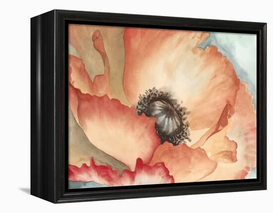 Watercolor Poppy II-Megan Meagher-Framed Stretched Canvas