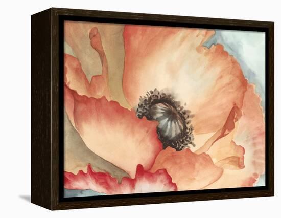 Watercolor Poppy II-Megan Meagher-Framed Stretched Canvas