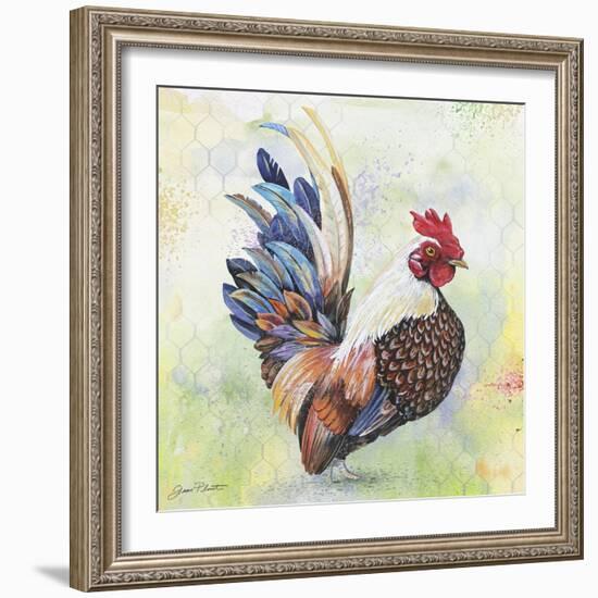 Watercolor Rooster-A-Jean Plout-Framed Giclee Print