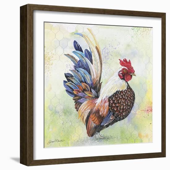 Watercolor Rooster-A-Jean Plout-Framed Giclee Print