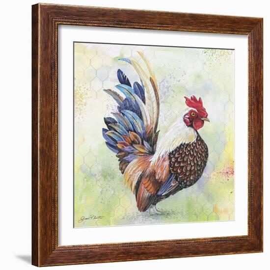 Watercolor Rooster-A-Jean Plout-Framed Giclee Print