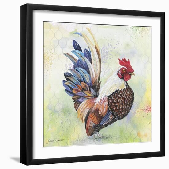 Watercolor Rooster-A-Jean Plout-Framed Giclee Print