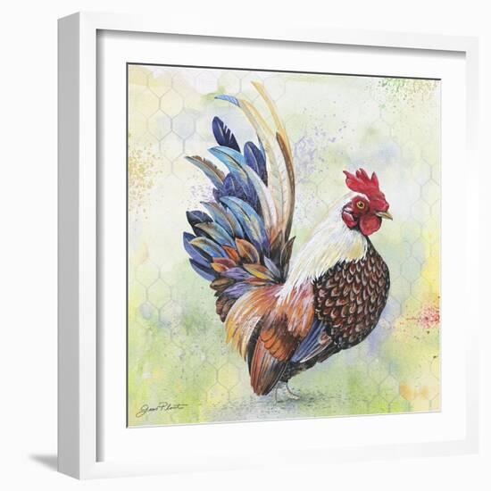 Watercolor Rooster-A-Jean Plout-Framed Giclee Print