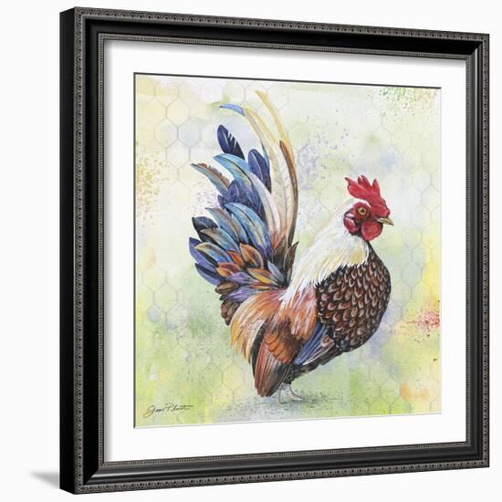 Watercolor Rooster-A-Jean Plout-Framed Giclee Print