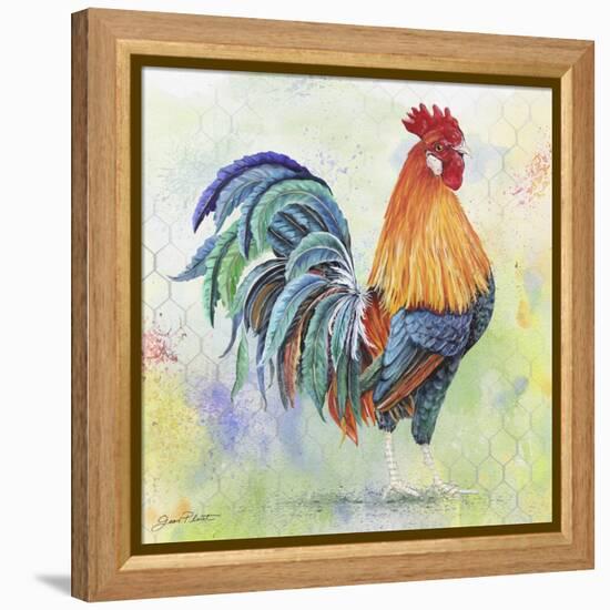 Watercolor Rooster-B-Jean Plout-Framed Premier Image Canvas