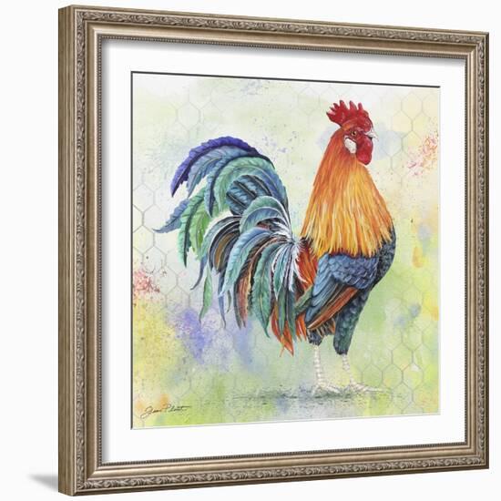 Watercolor Rooster-B-Jean Plout-Framed Giclee Print