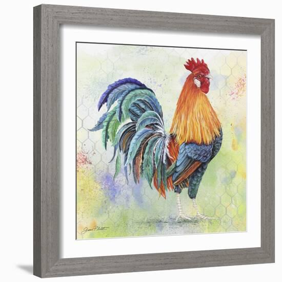 Watercolor Rooster-B-Jean Plout-Framed Giclee Print