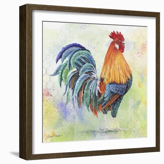 Watercolor Rooster-B-Jean Plout-Framed Giclee Print