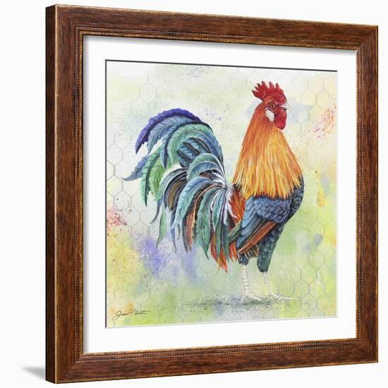 Watercolor Rooster-B-Jean Plout-Framed Giclee Print