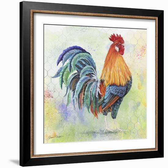 Watercolor Rooster-B-Jean Plout-Framed Giclee Print