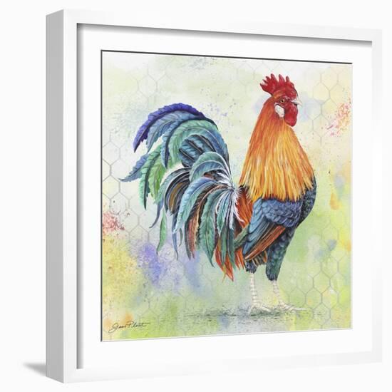 Watercolor Rooster-B-Jean Plout-Framed Giclee Print