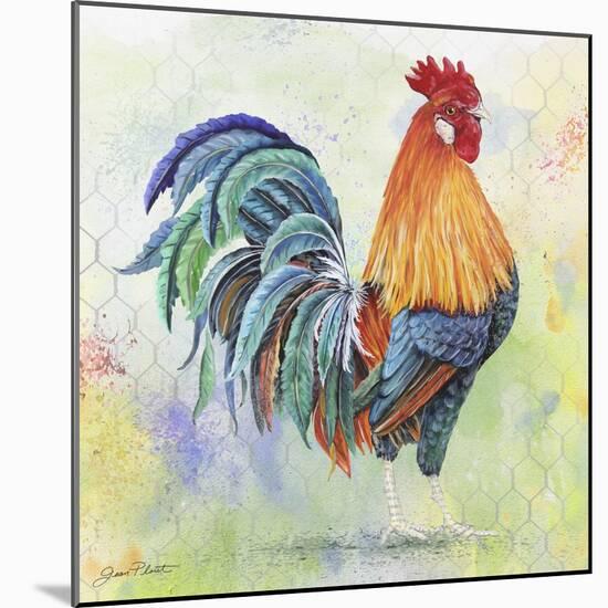 Watercolor Rooster-B-Jean Plout-Mounted Giclee Print