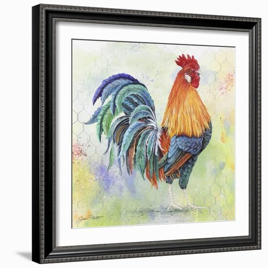 Watercolor Rooster-B-Jean Plout-Framed Giclee Print