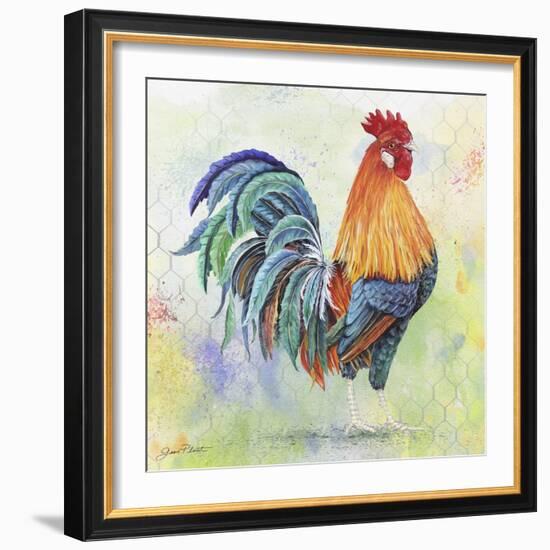 Watercolor Rooster-B-Jean Plout-Framed Giclee Print