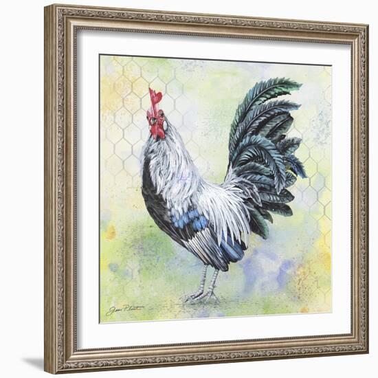 Watercolor Rooster-C-Jean Plout-Framed Giclee Print