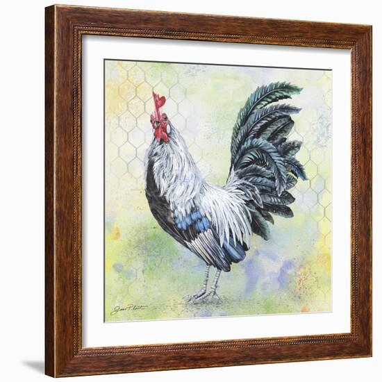 Watercolor Rooster-C-Jean Plout-Framed Giclee Print