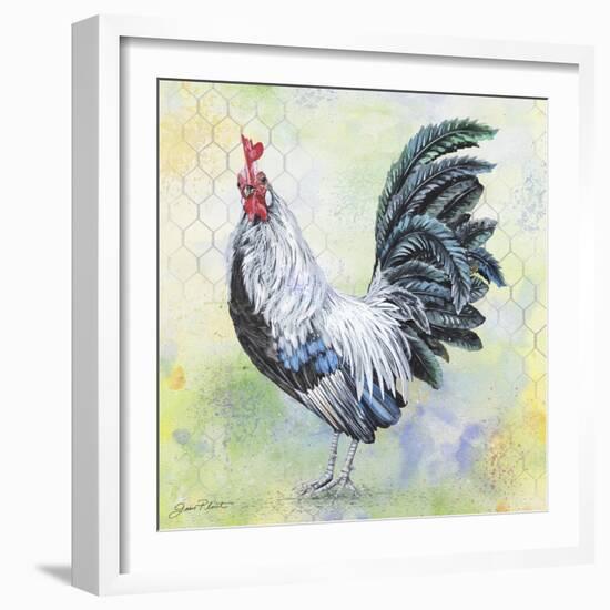 Watercolor Rooster-C-Jean Plout-Framed Giclee Print