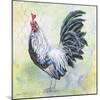 Watercolor Rooster-C-Jean Plout-Mounted Giclee Print