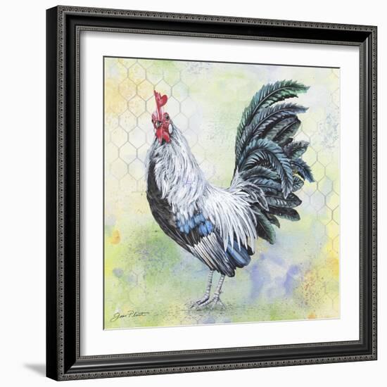 Watercolor Rooster-C-Jean Plout-Framed Giclee Print