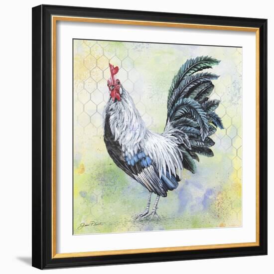 Watercolor Rooster-C-Jean Plout-Framed Giclee Print