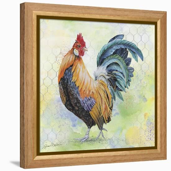 Watercolor Rooster-D-Jean Plout-Framed Premier Image Canvas