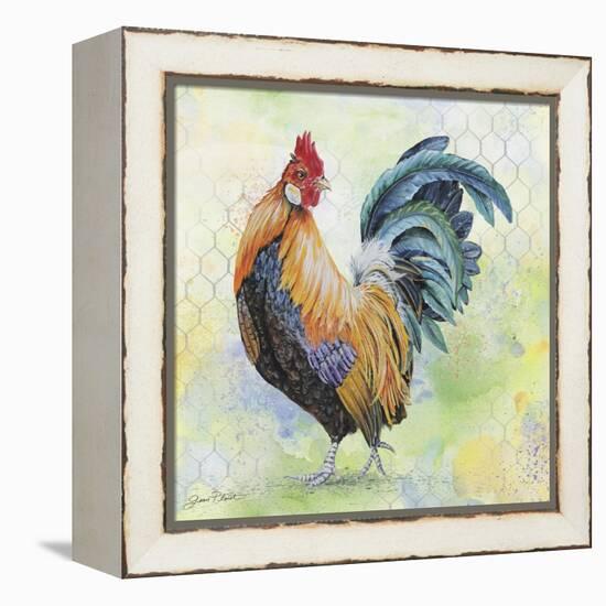 Watercolor Rooster-D-Jean Plout-Framed Premier Image Canvas